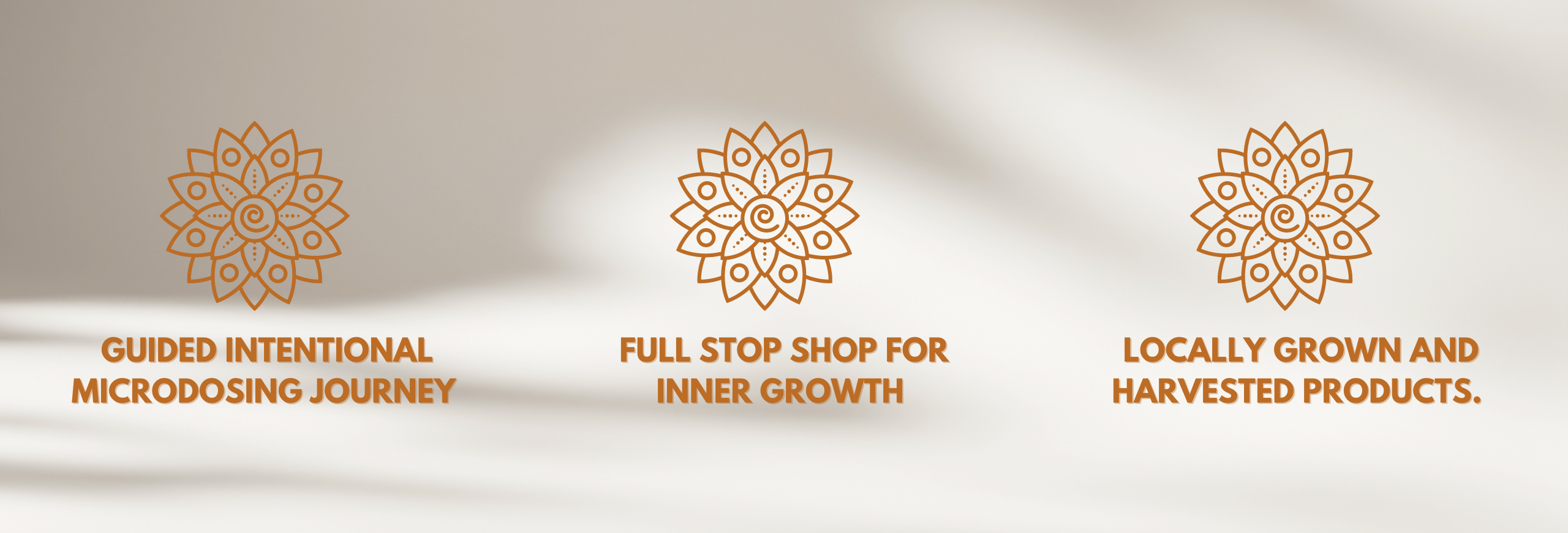 Full stop shop for inner growth